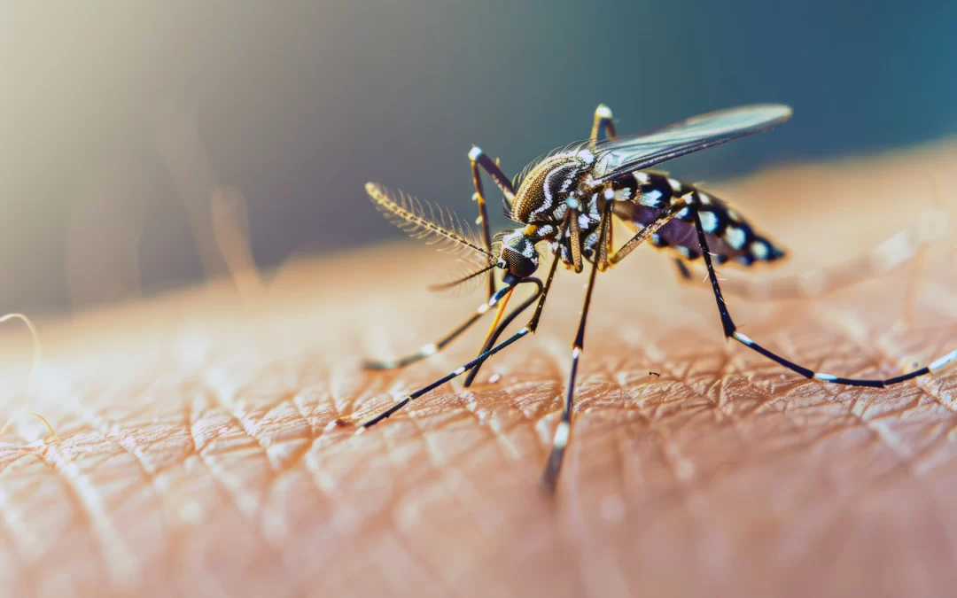 O verão ainda não acabou! Veja quais ações podem ser feitas para se proteger das pragas urbanas