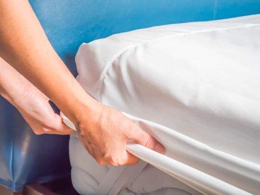 Você conhece os perigos de uma infestação de percevejo de cama em hotéis?