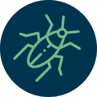 Serviços de Controle de Pragas - Rio de Janeiro 