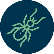 Serviços de Controle de Pragas - Rio de Janeiro 