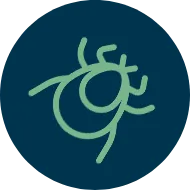 Serviços de Controle de Pragas - Rio de Janeiro 