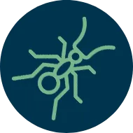 Serviços de Controle de Pragas - Rio de Janeiro 