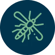 Serviços de Controle de Pragas - Rio de Janeiro