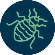 Serviços de Controle de Pragas - Rio de Janeiro