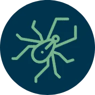 Serviços de Controle de Pragas - Rio de Janeiro