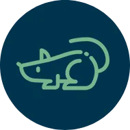 Serviços de Controle de Pragas - Rio de Janeiro