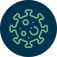 Serviços de Controle de Pragas - Rio de Janeiro