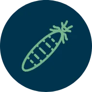 Serviços de Controle de Pragas - Rio de Janeiro