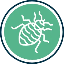 percevejo-topo01 Percevejo de Cama - Dedetizadora RJ | Dedetização de Bed Bug RJ