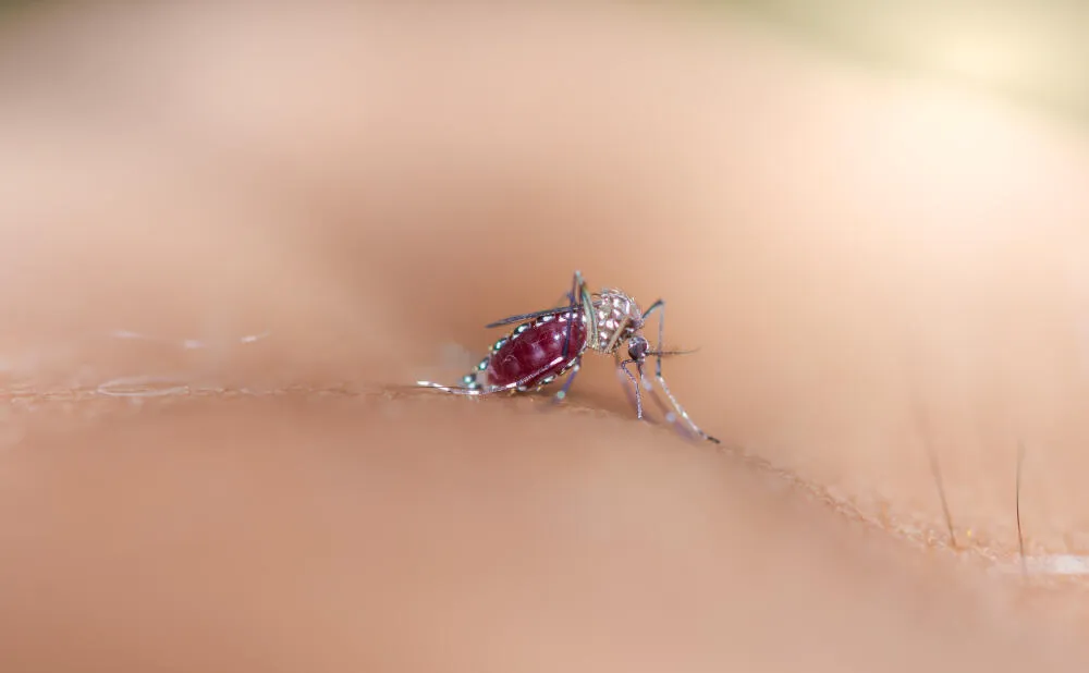 Prevenção e combate aos mosquitos da dengue em condomínios residenciais