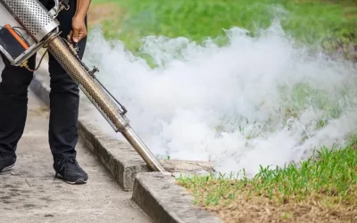 Prevenção e combate aos mosquitos da dengue em condomínios residenciais