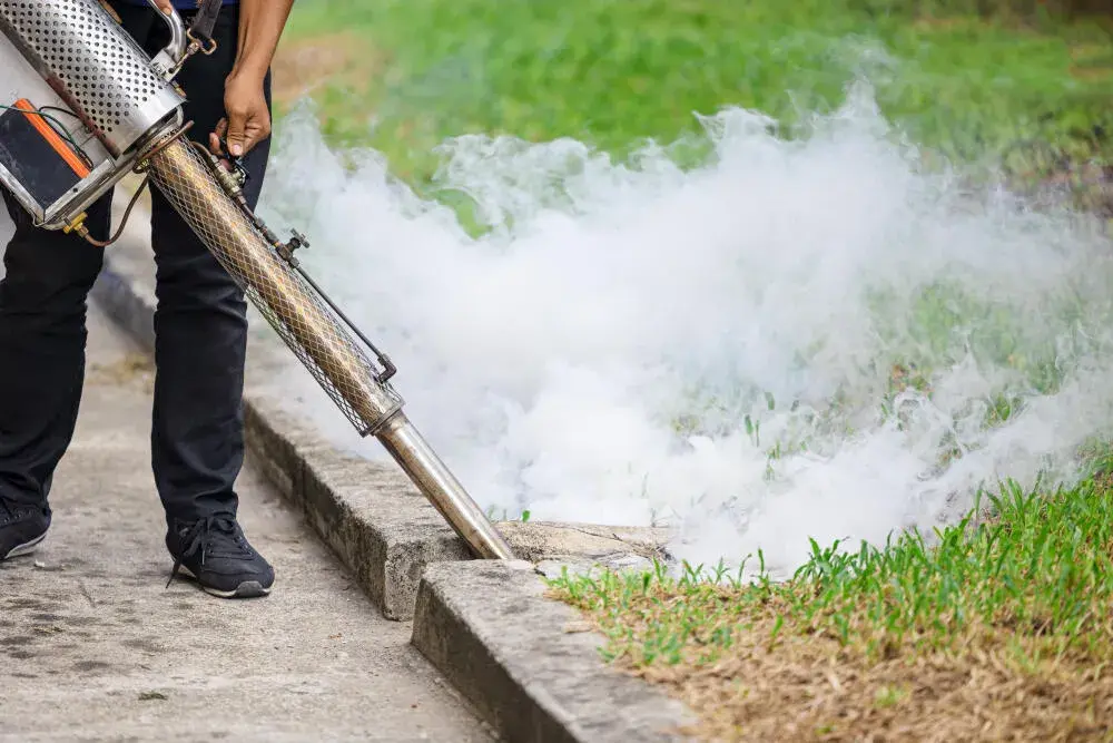Prevenção e combate aos mosquitos da dengue em condomínios residenciais