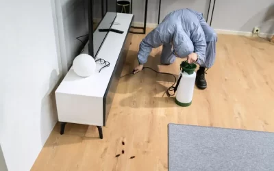 Pragas de verão em condomínios: quais são as mais comuns e como evitar problemas coletivos