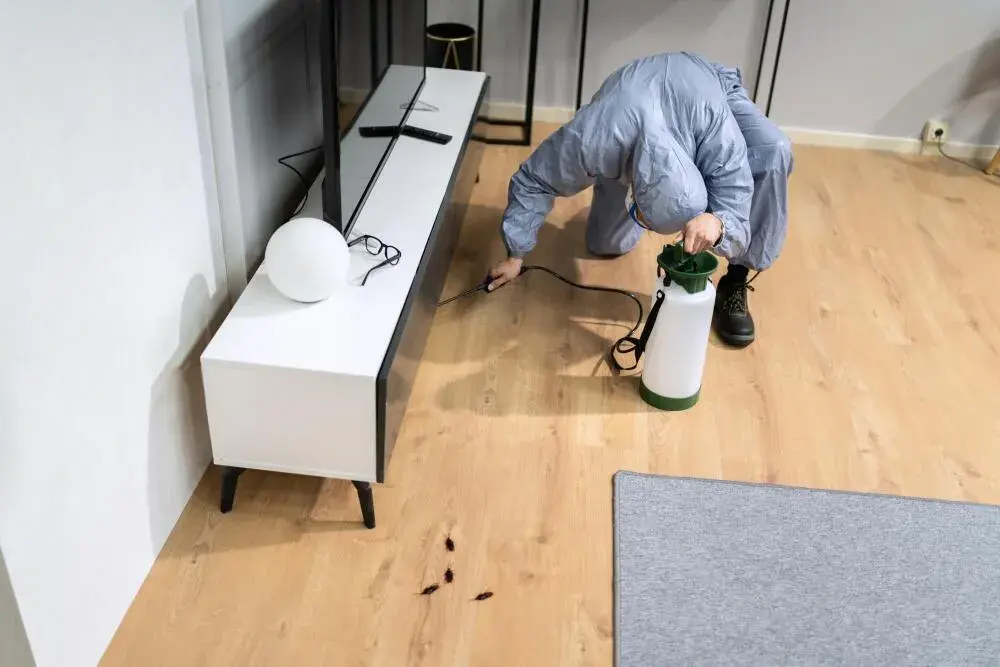 Pragas de verão em condomínios: quais são as mais comuns e como evitar problemas coletivos