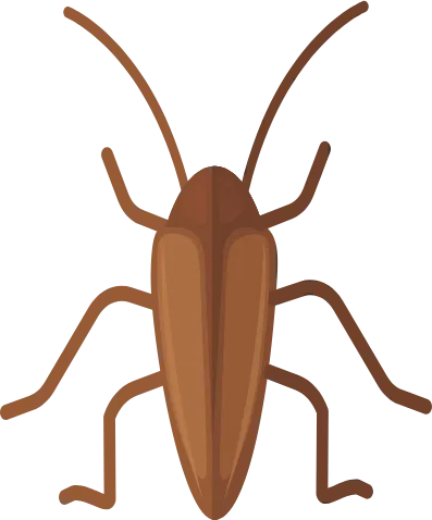 Brocas - Pragas Urbanas - Dedetizadora RJ | Sani System - Rio de Janeiro