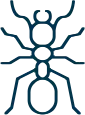 Formigas - Serviços de Controle de Pragas - Rio de Janeiro | Sani System