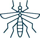 Mosquitos - Serviços de Controle de Pragas - Rio de Janeiro | Sani System