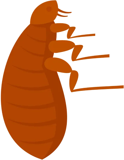 Pulgas - Pragas Urbanas - Dedetizadora RJ | Sani System - Rio de Janeiro