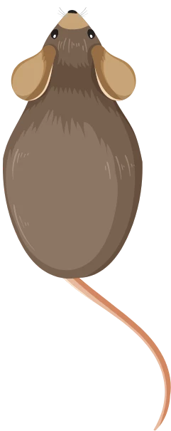 Ratos - Dedetizadora RJ | Dedetização de Ratos - Rio de Janeiro