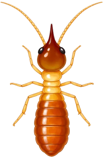 Foto/Montagem - Autor: Agência Digital Space